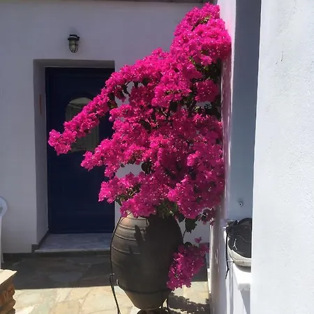 Aegean View Kochilos